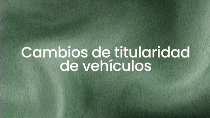 captura de pantalla 2026 04 12 210130 3