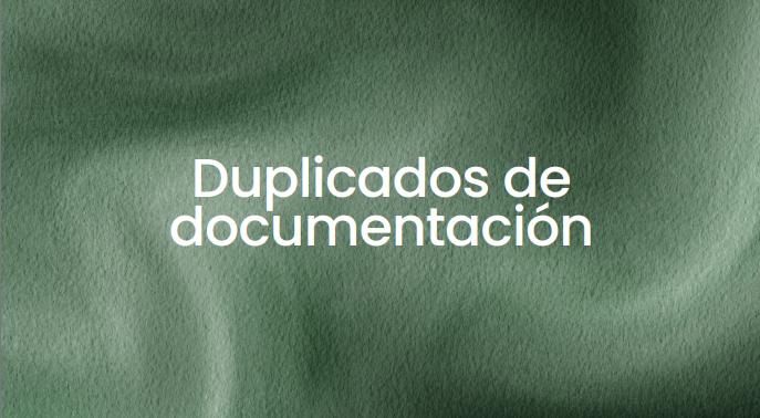 captura de pantalla 2026 04 12 210241 5